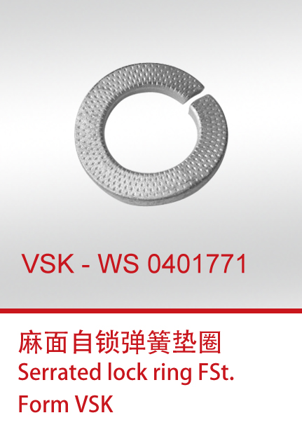 VSK-WS0401771+