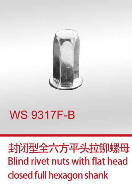 WS 9317F-B