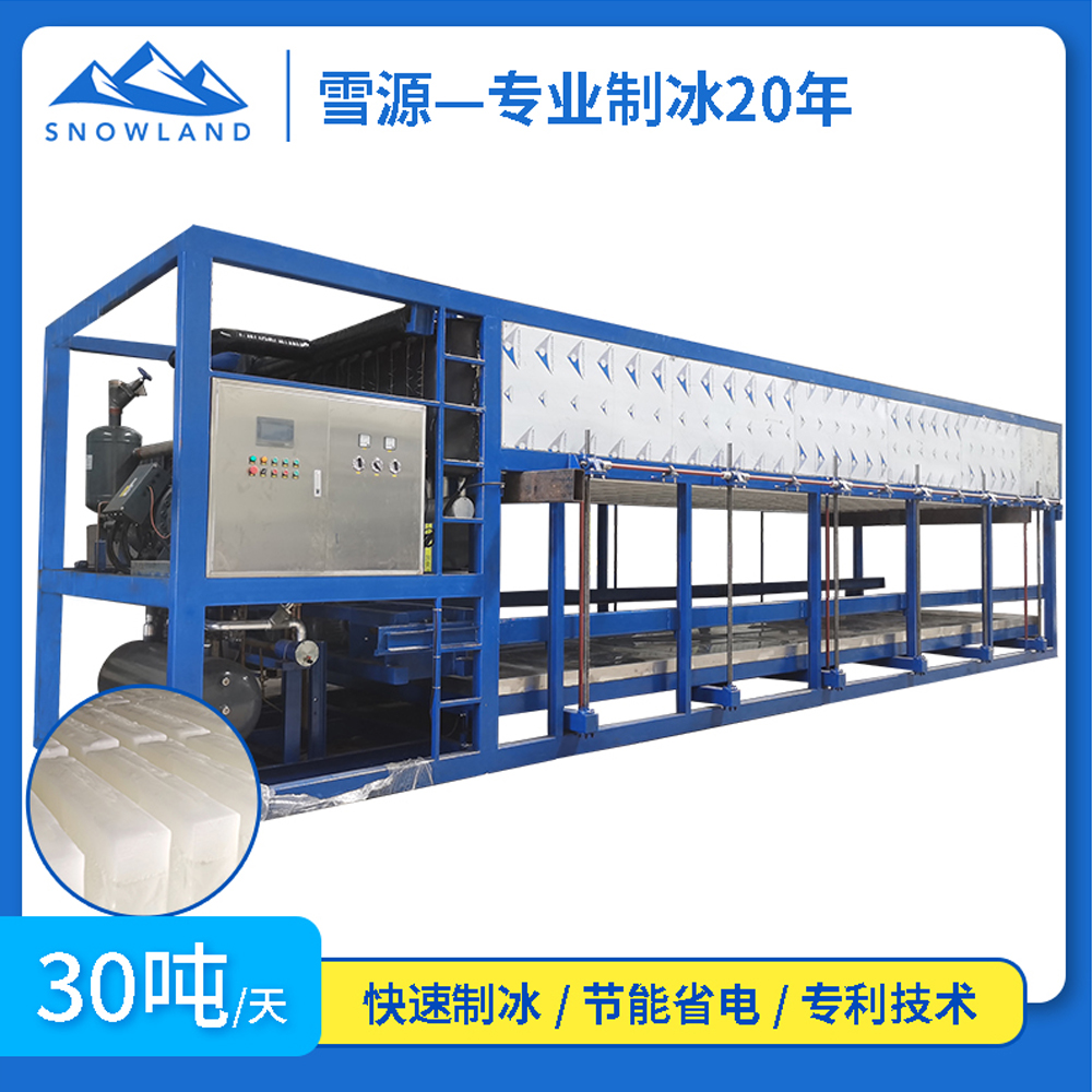 浙江台州2台30吨制冰机