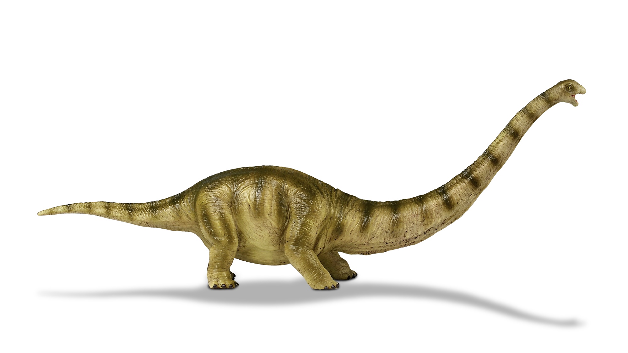 Dinosaur figure Mamenchisaurus toy model for gift