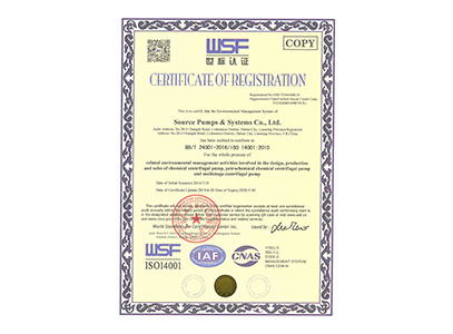 ISO 14001 English certificate
