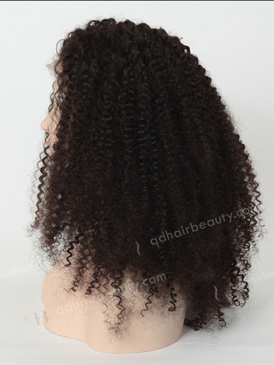 Jerry Curl Natural Hair Wigs for Black Women WR-LW-059