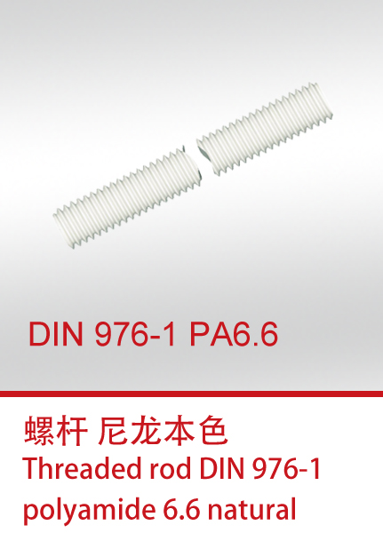 DIN 976-1 PA6.6