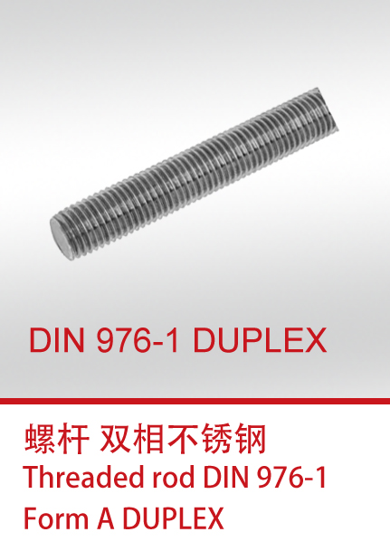 DIN 976-1 DUPLEX
