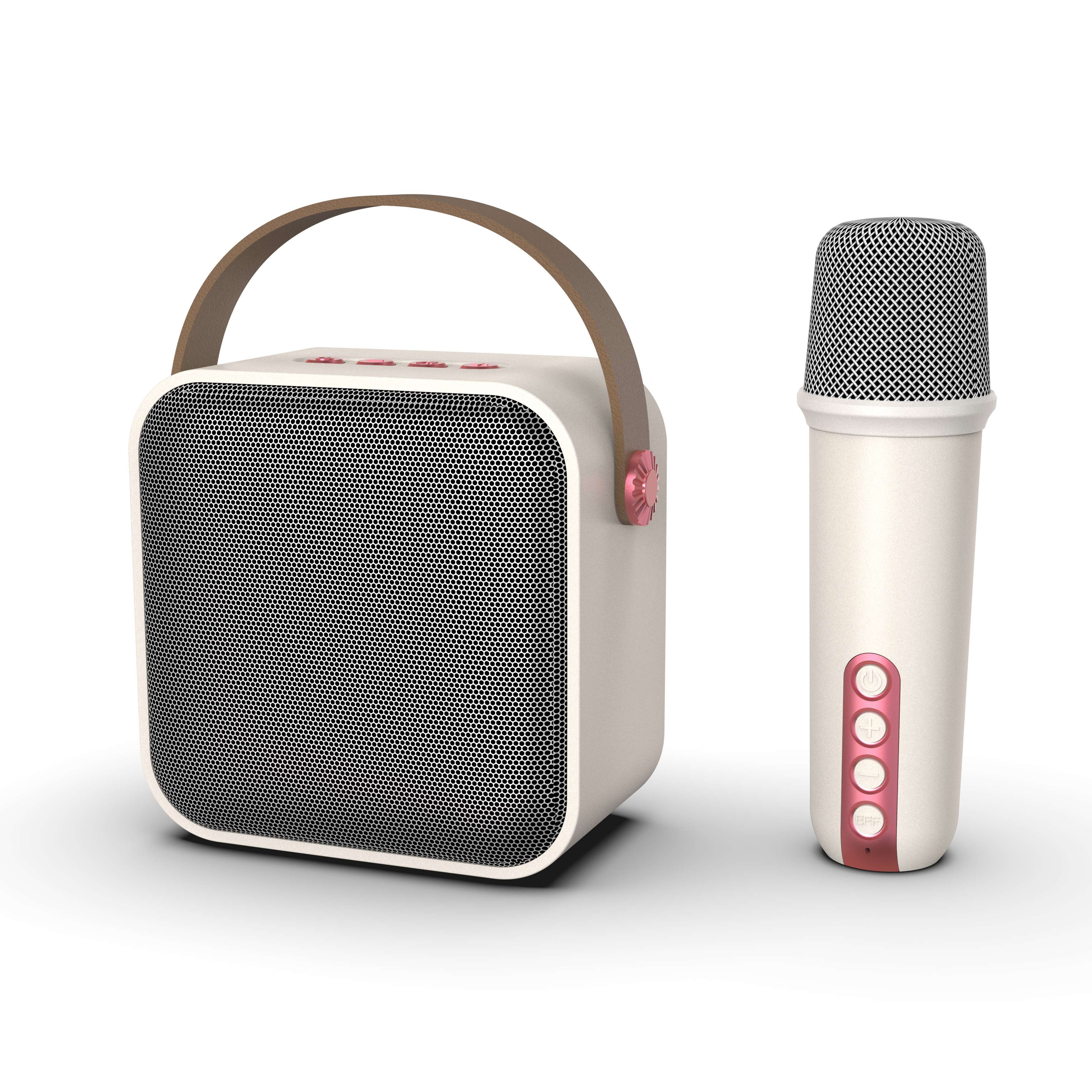 Portable Karaoke Speaker