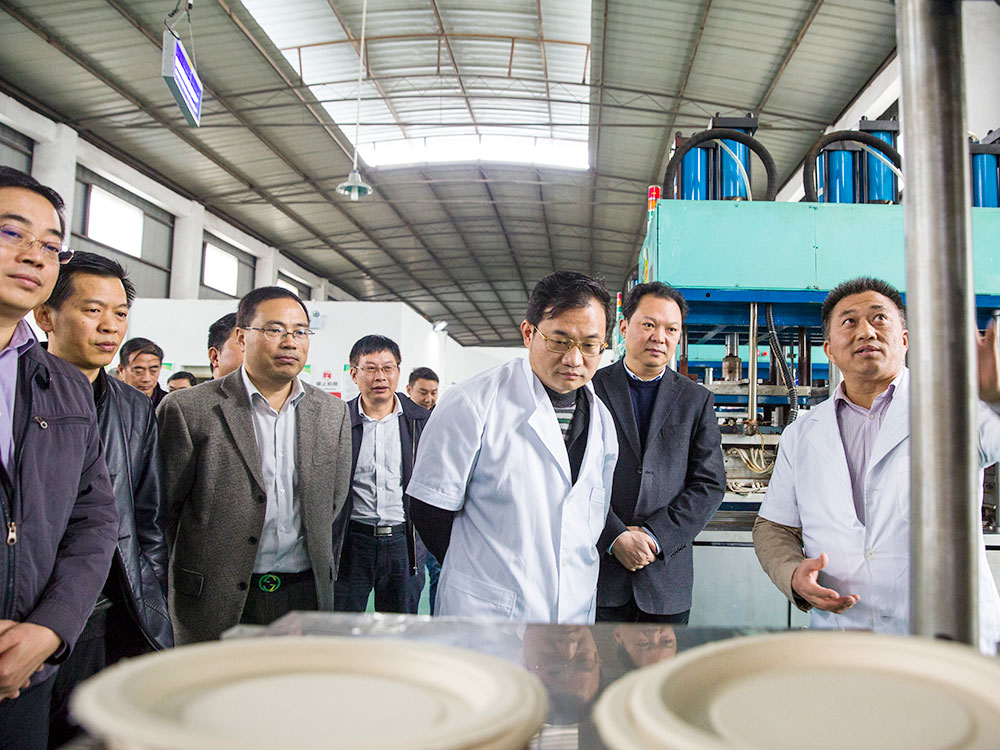 County Party Secretary Lai Jiao and County Changjiang Xia visited the company to guide the work