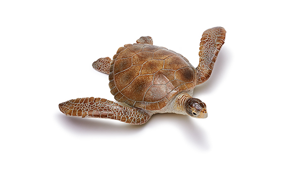  海洋动物玩具-海龟
