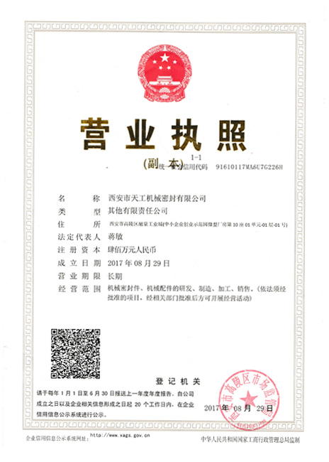 Xian Tiangong Business-Zertifikat