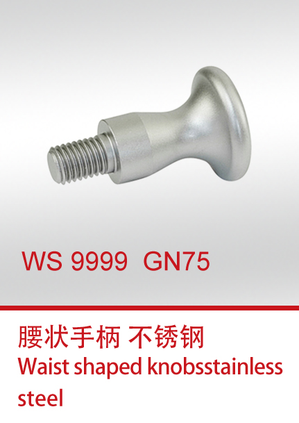 WS 9999  GN75