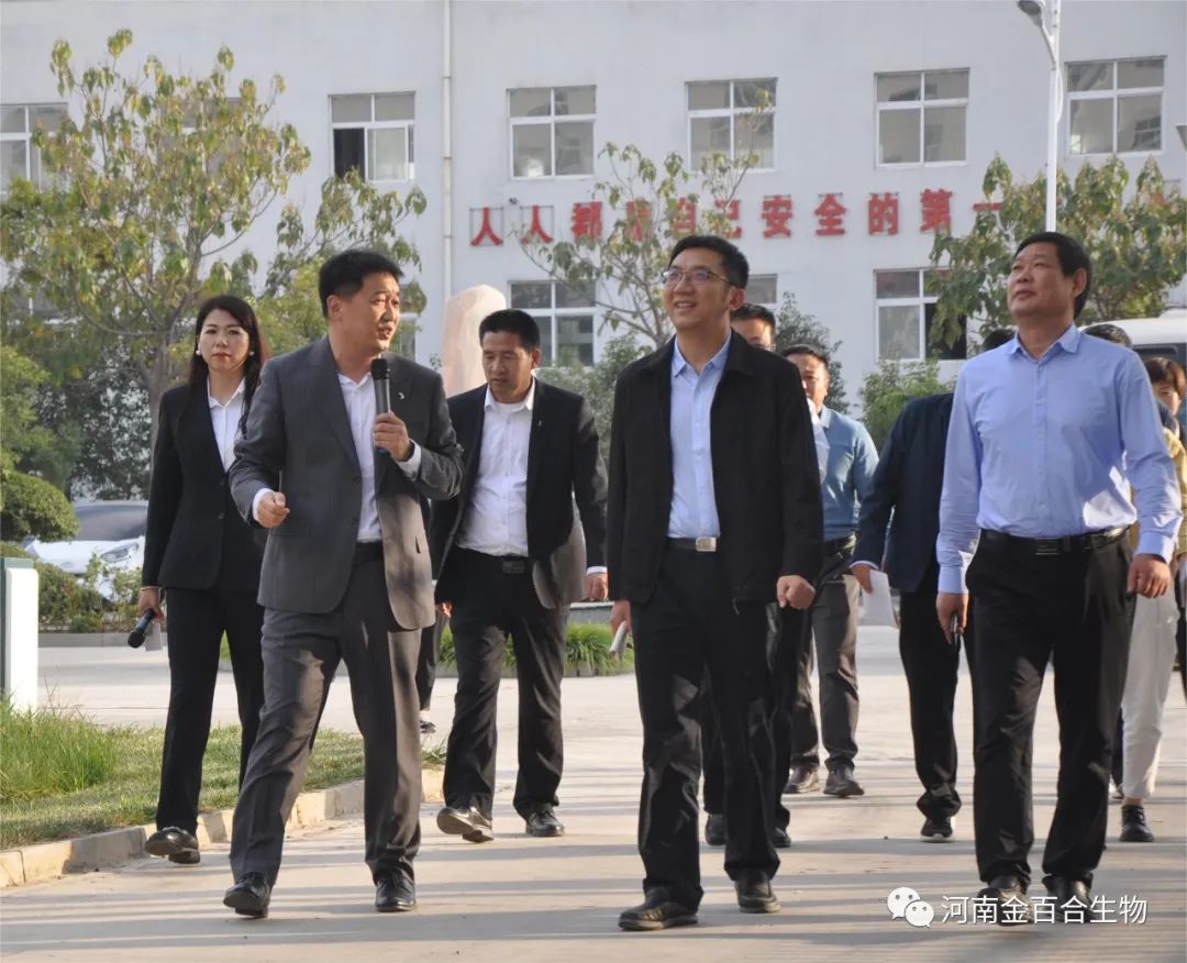 2023年10月25日河南省科技厅领导一行莅临金百合生物考察调研