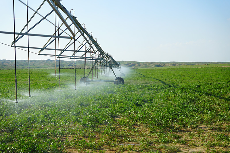 Tracking: Gusilk Road Travelers Bring Irrigation Technologies to Arid Areas in Xinjiang