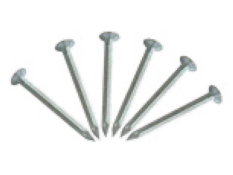 Concrete Nails Fluted Shank