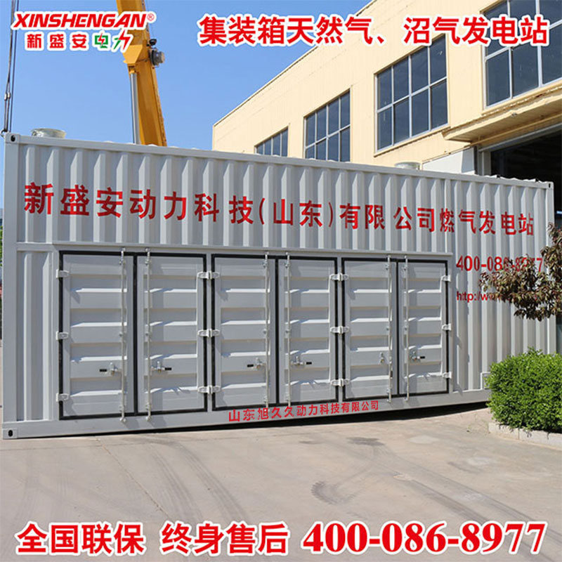 600KW Container gas generator set