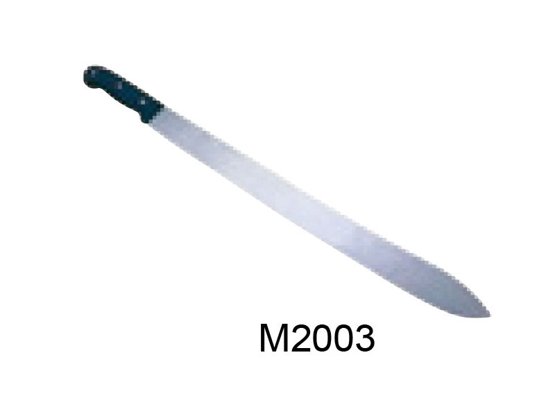M2003