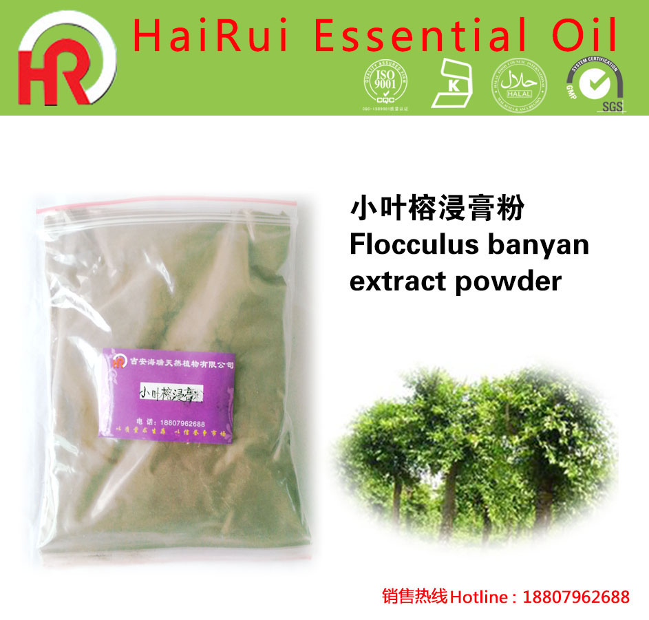flocculus banyan extract powder