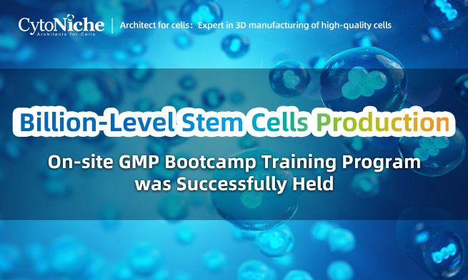 【Billion-Level Stem Cells Production】 On-site GMP Bootcamp Training Program was Successfully Held