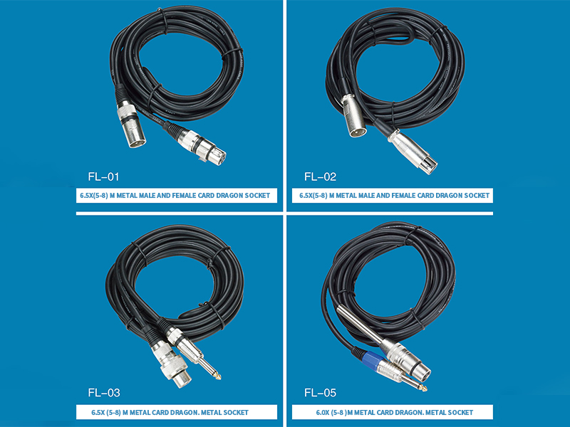 Microphone Cable 1