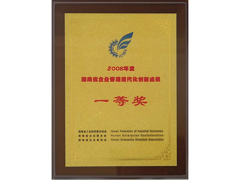 2008年湖南省企业管理现代化创新成果一等奖