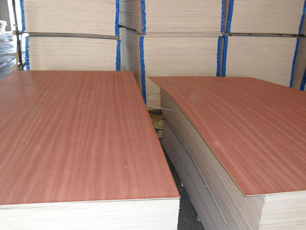 Red oak plywood