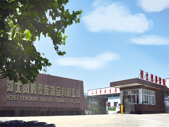 Hebei company's product design advantages Fengming