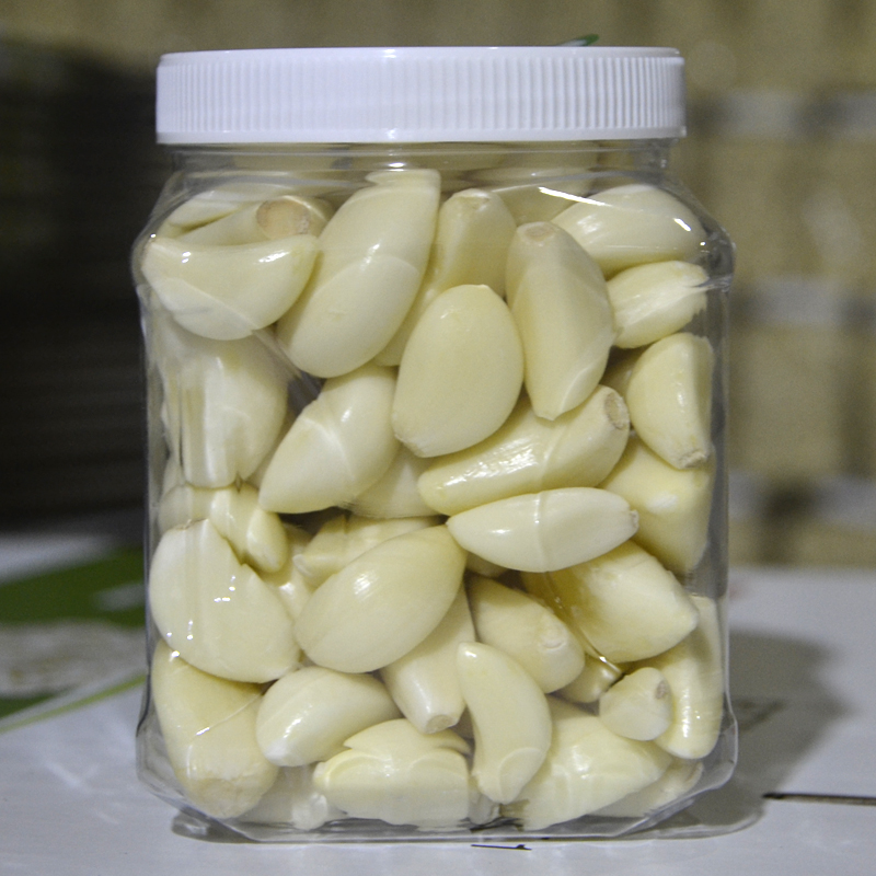 Cross-bred garlic clove
