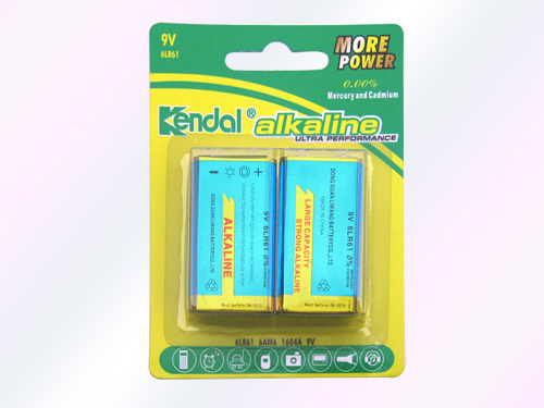 Alkaline Nine Volt Card Mounted Battery