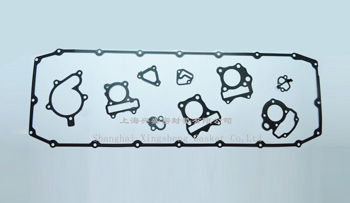 Other types of gaskets
