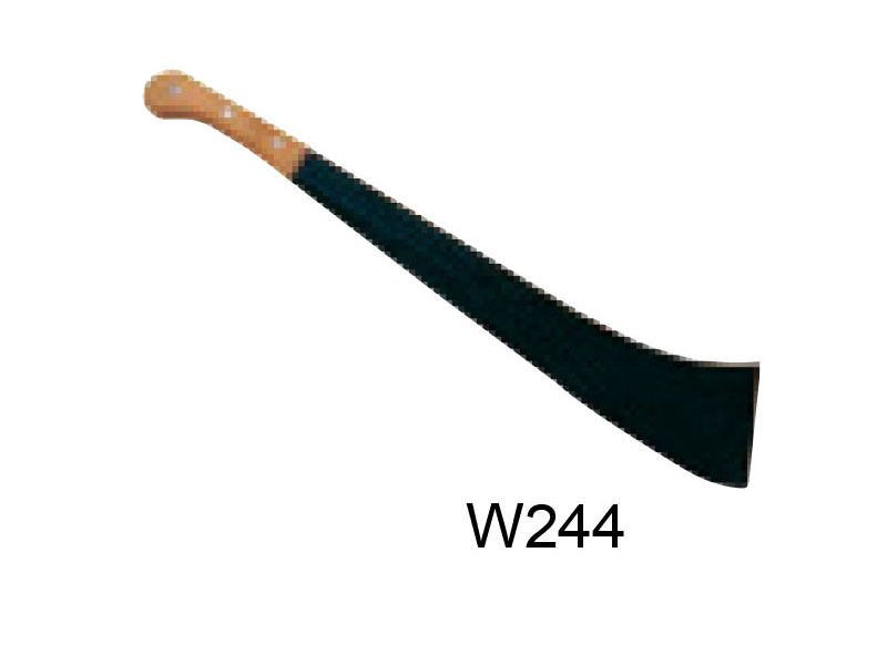 W244