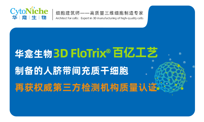 再获认证 | 华龛生物【3D FloTrix® 百亿工艺】制备的人脐带间充质干细胞再获权威第三方质量认证
