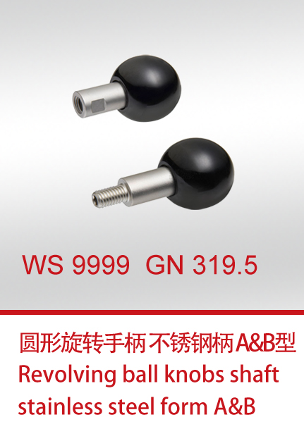 WS 9999  GN 319.5