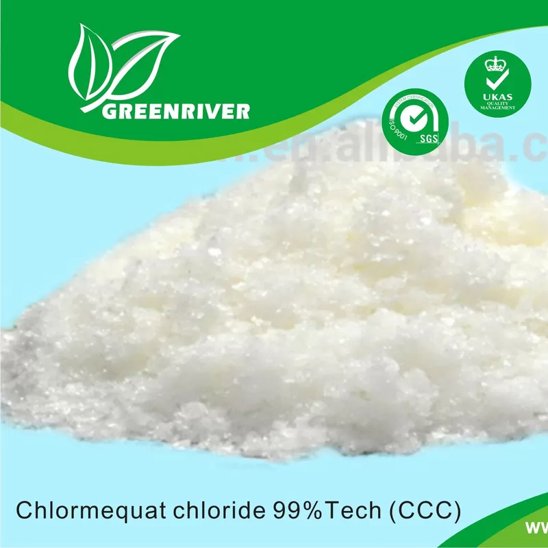 منظمات نمو النبات Chlormequat chloride CCC White Crysstalline Powder PGR 