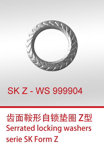 SKZ-WS999904+