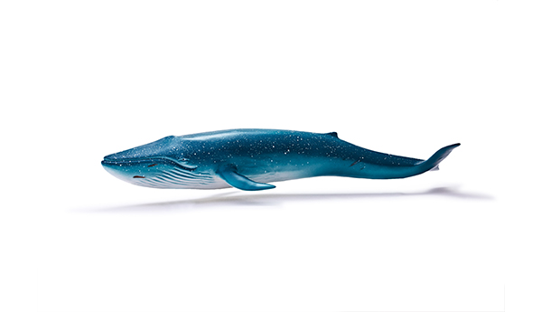 海洋动物玩具-蓝鲸
