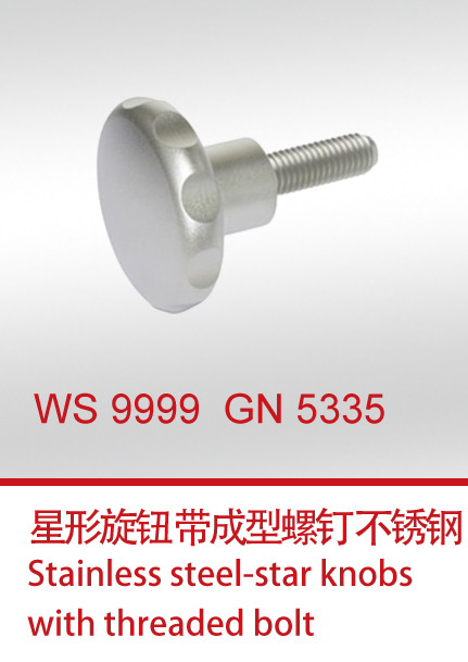WS 9999  GN 5335 带成型螺钉