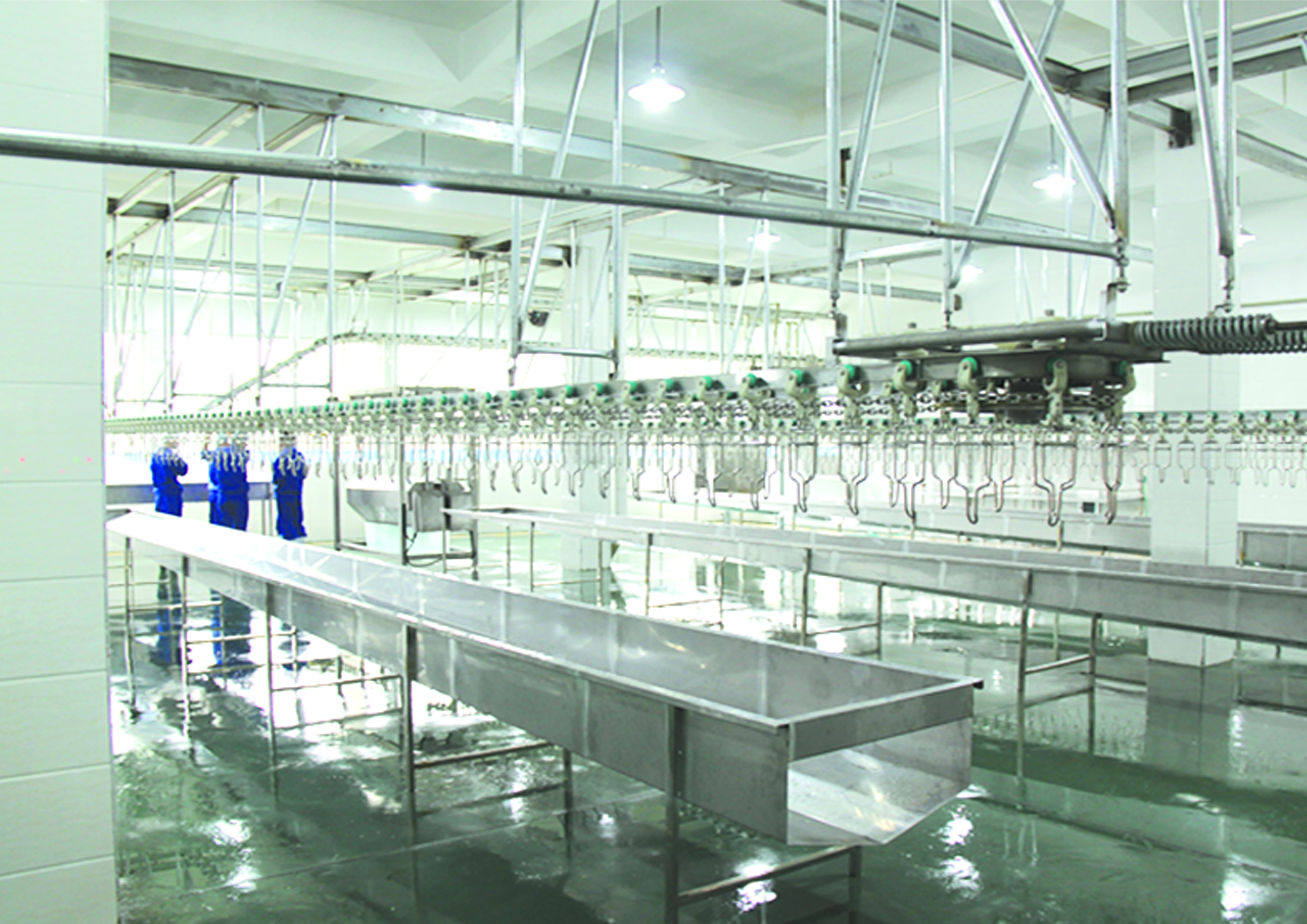 How the Poultry Slaughterhouse machine can extend its service life in daily life
