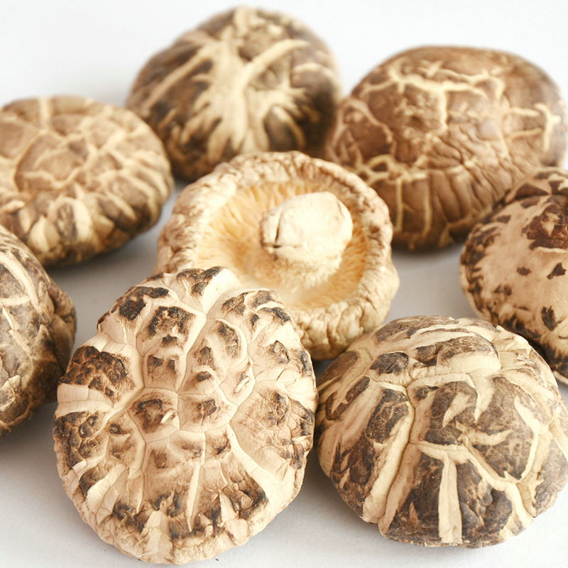 DRIED TEA FLOWER SHIITAKE CULTIVATED IN AUTUMN