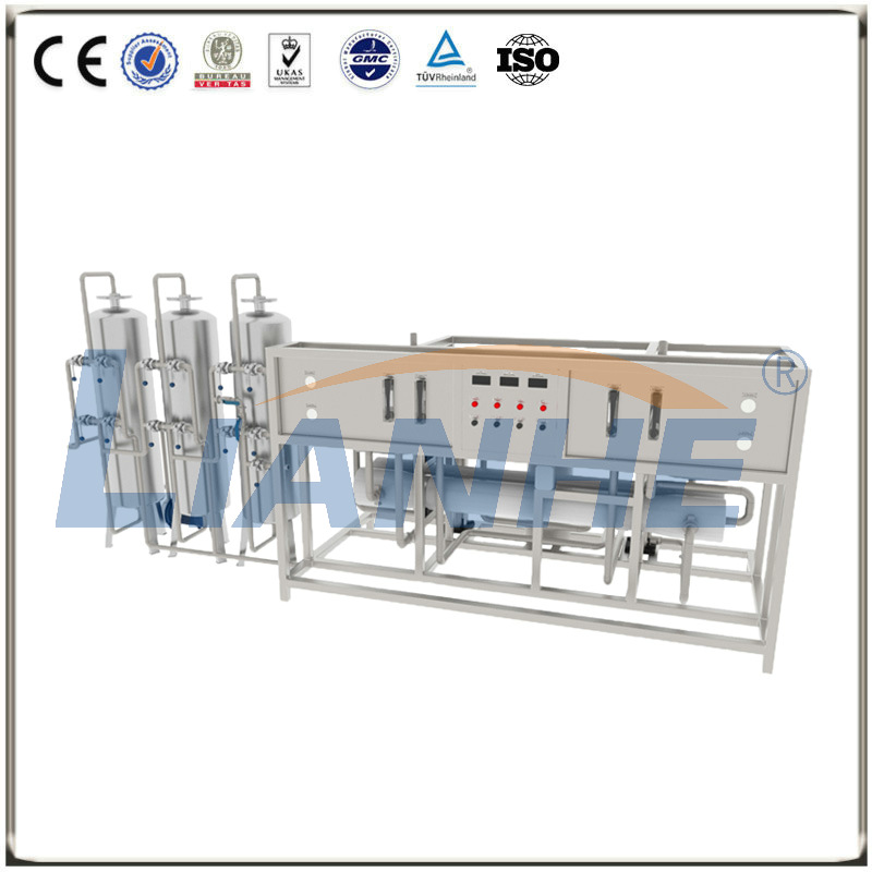 3000L/H Double-stage RO Water Treatment