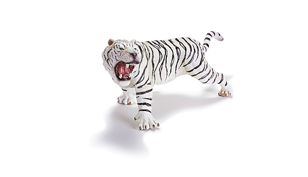 动物模型-白孟加拉虎
