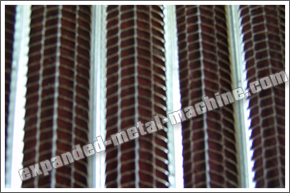 Ribbed expansion net