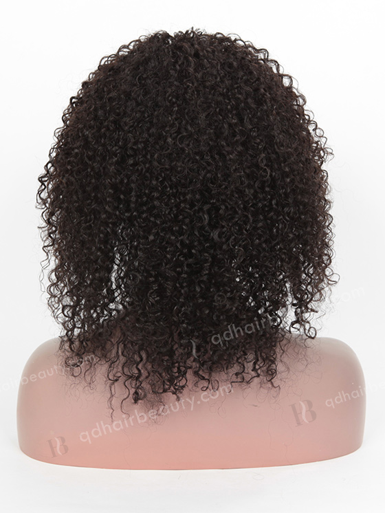 High Quality Raw Indian Hair Full Lace Wig WR-LW-090