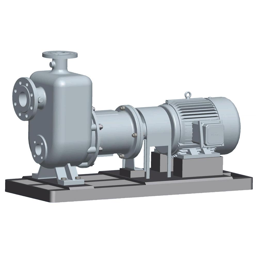 Structural principle and daily inspection and maintenance of canned pump