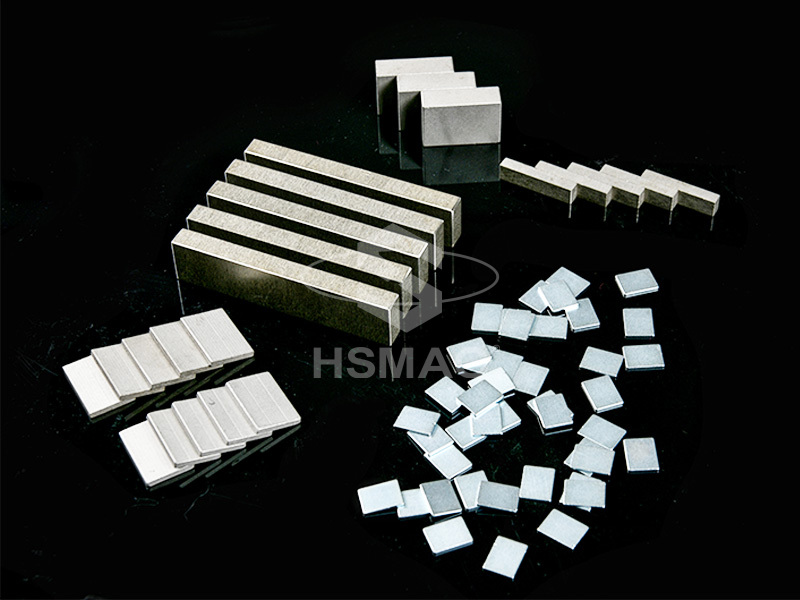 SmCo Magnets Series 6