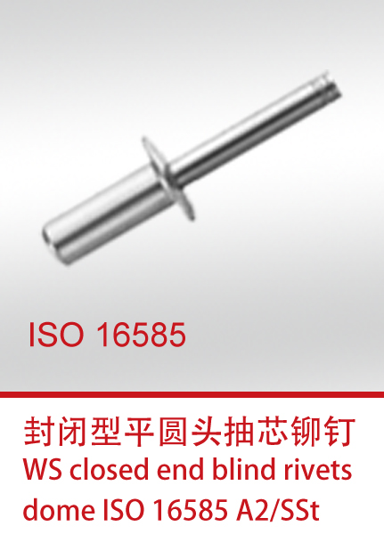 ISO 16585
