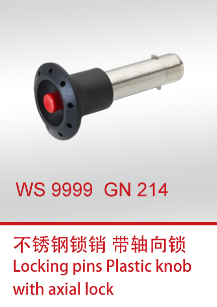 WS 9999  GN 214