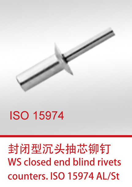 ISO 15974-