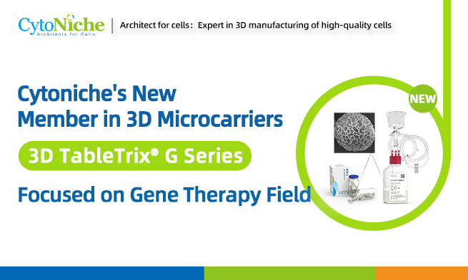 Cytoniche's New Member in 3D Microcarriers — 3D TableTrix® G Series, Focused on Gene Therapy Field