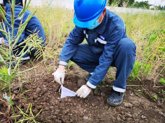 梅陇镇某A地块土地整理复垦（减）土壤检测项目