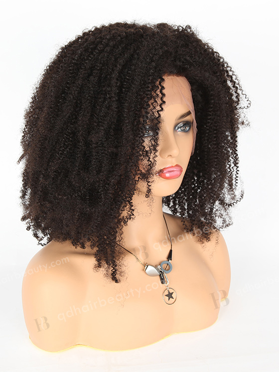 Beautiful Kinky Afro Curl Natural Color 20'' Brazilian Virgin Hair Wigs WR-LW-088