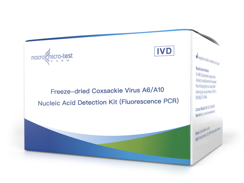 Freeze-dried Coxsackie Virus A6/A10 Nucleic Acid Detection Kit (Fluorescence PCR)