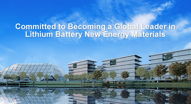 Committed to Becoming a Global Leader in Lithium Battery New Energy Materials